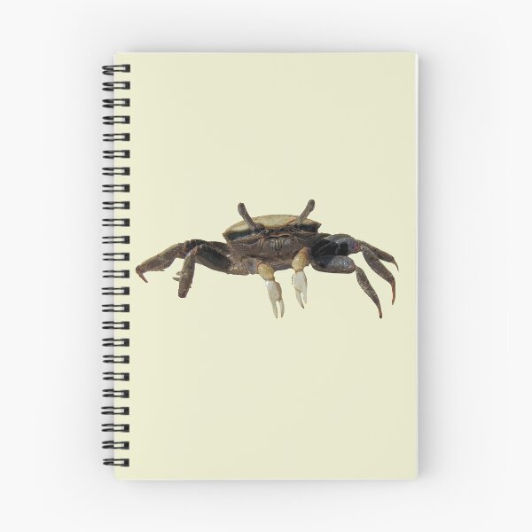 Item preview, Fiddler Crab designed and sold by designsasstultd.