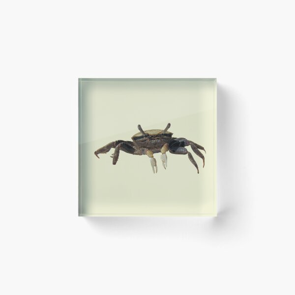 Item preview, Fiddler Crab designed and sold by designsasstultd.