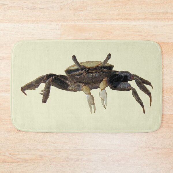 Item preview, Fiddler Crab designed and sold by designsasstultd.