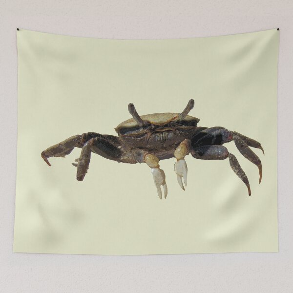 Item preview, Fiddler Crab designed and sold by designsasstultd.