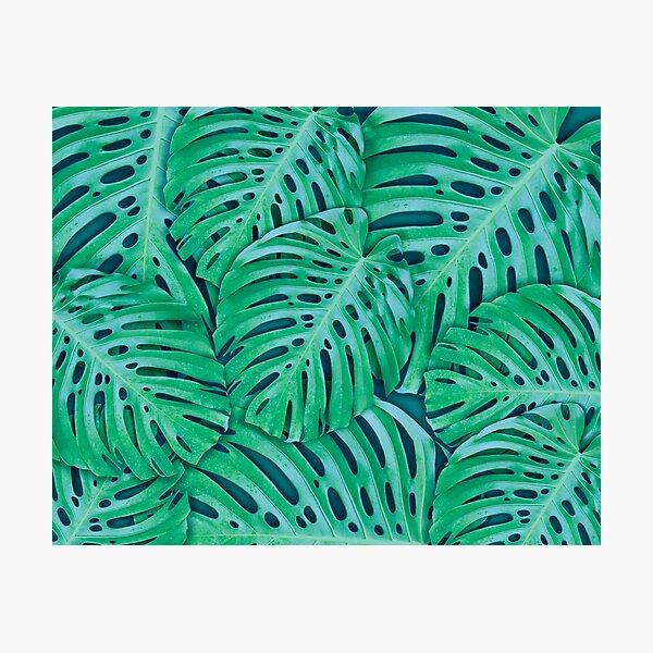 Item preview, Green leaves designed and sold by Beeffervescent.
