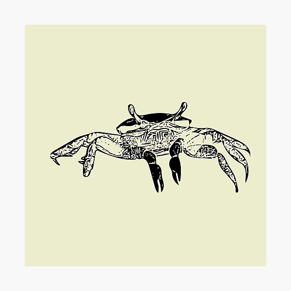 Item preview, Fiddler Crab Black Print  designed and sold by designsasstultd.