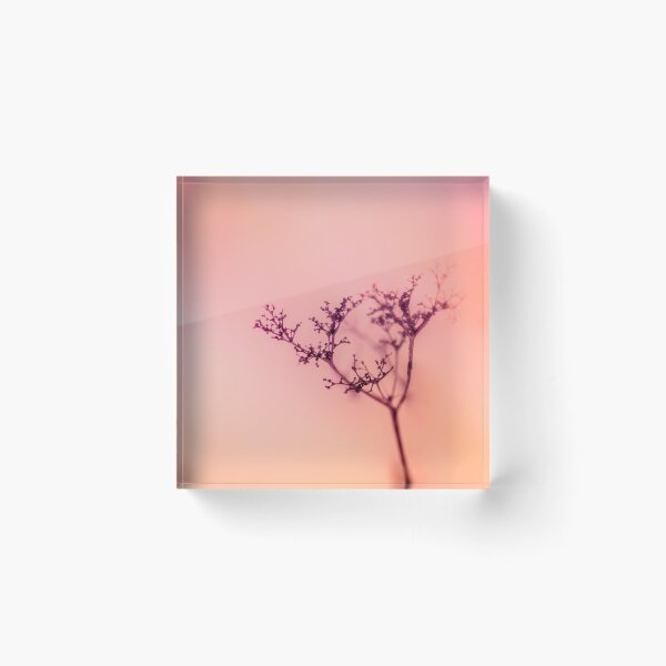 Item preview, Shadow of flowers and sunset photo designed and sold by Stéphane  Thirion.