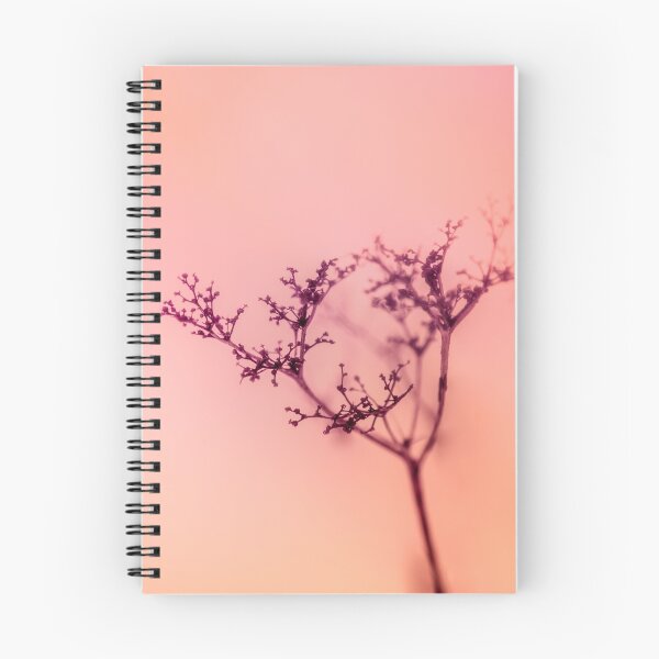 Item preview, Shadow of flowers and sunset photo designed and sold by Stéphane  Thirion.