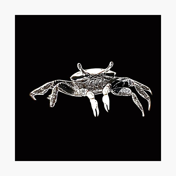Item preview, Fiddler Crab White Alternate Print  designed and sold by designsasstultd.