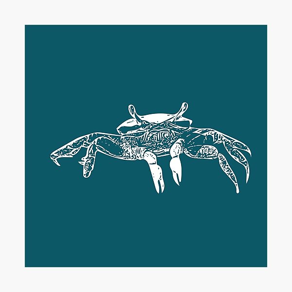 Item preview, Fiddler Crab White Print  designed and sold by designsasstultd.