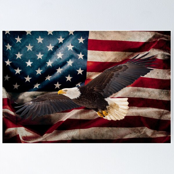 Item preview, American Pride designed and sold by Lyraluxe.