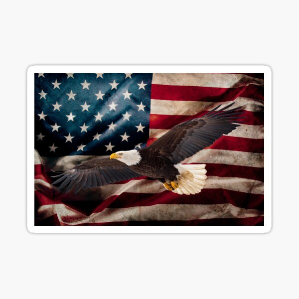 Item preview, American Pride designed and sold by Lyraluxe.
