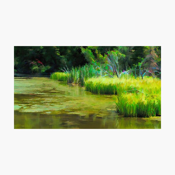 Item preview, Abstract water marsh scene designed and sold by CanadianWild418.
