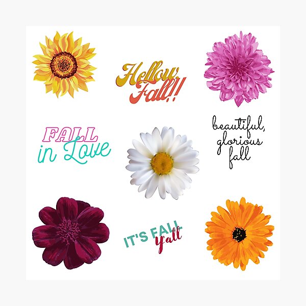 Item preview, Fall Flowers Pack with fall sayings with sunflower, daisies and dahlia designed and sold by milkasweet.