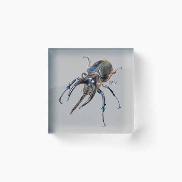 Item preview, Rhinoceros beetle, Moellenkampi  designed and sold by bluejayknits.