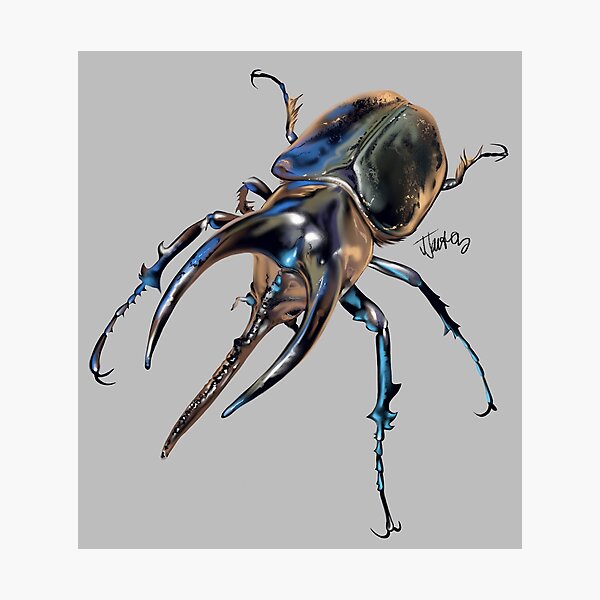 Item preview, Rhinoceros beetle, Moellenkampi  designed and sold by bluejayknits.