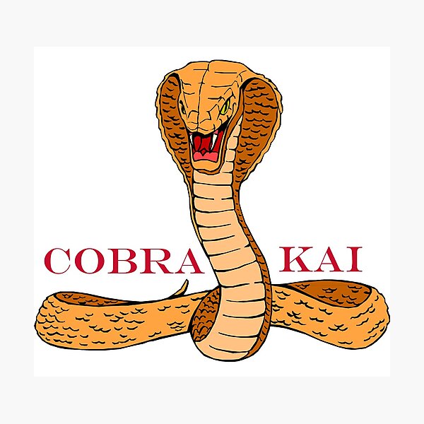 Item preview, Cobra Kai t shirt designed and sold by AitElmMost.