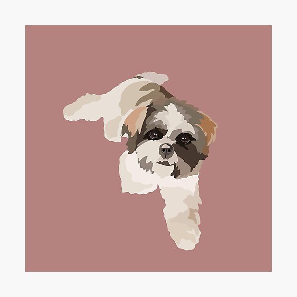 Item preview, Shihpoo Dog Portrait Digital Illustration designed and sold by sherylwylie.