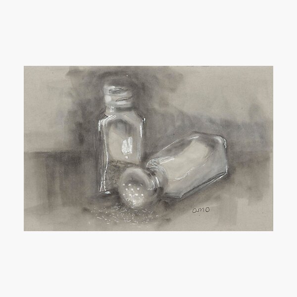 Salt and Pepper Shakers Photographic Print