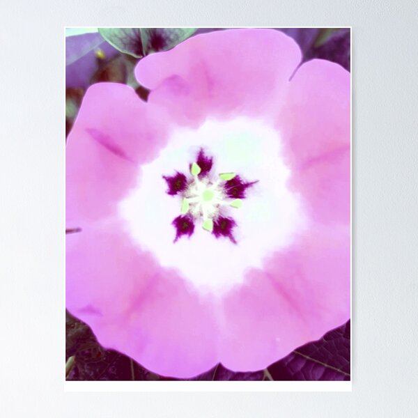 Artikelvorschau, Tropisches Paradies verlor rosa Farbton-Blume entworfen und verkauft von FarzT.