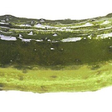 Artwork thumbnail, Pickle  by KnightSteel