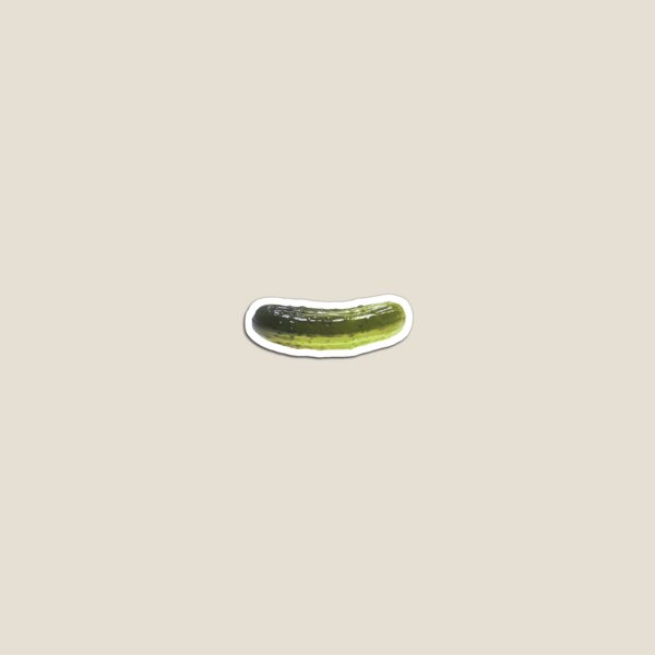 Pickle Magnet