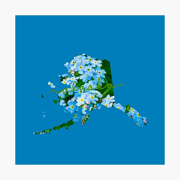 Item preview, Alaska Forget-Me-Nots designed and sold by Pharmacied.