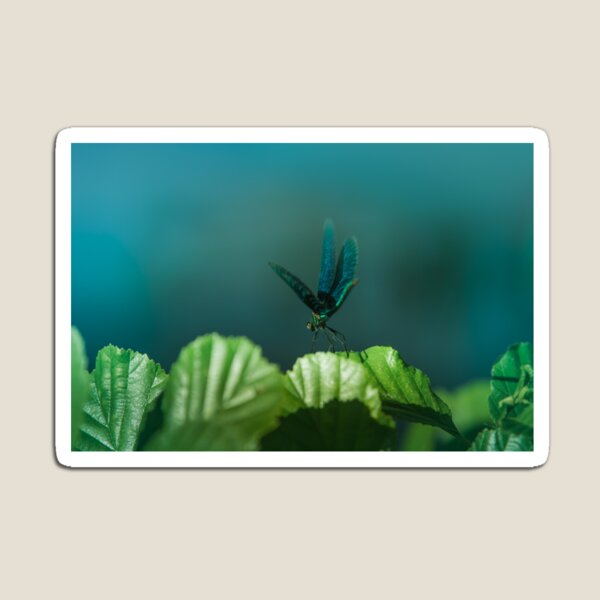 Item preview, Blue dragonfly on foliage along the river designed and sold by Stéphane Thirion.