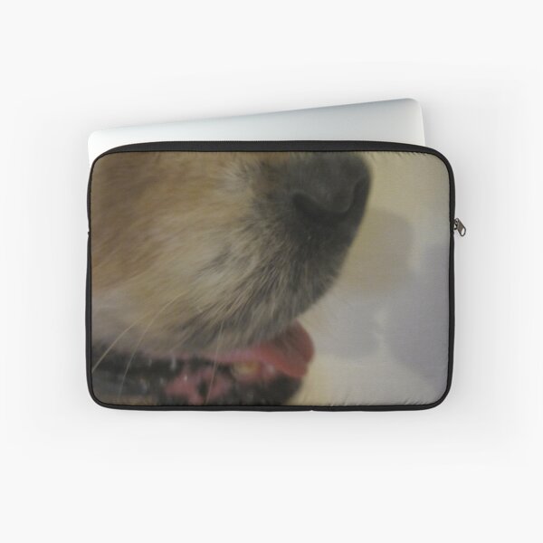 Item preview, A dog's nose knows designed and sold by KeoniCimenski.