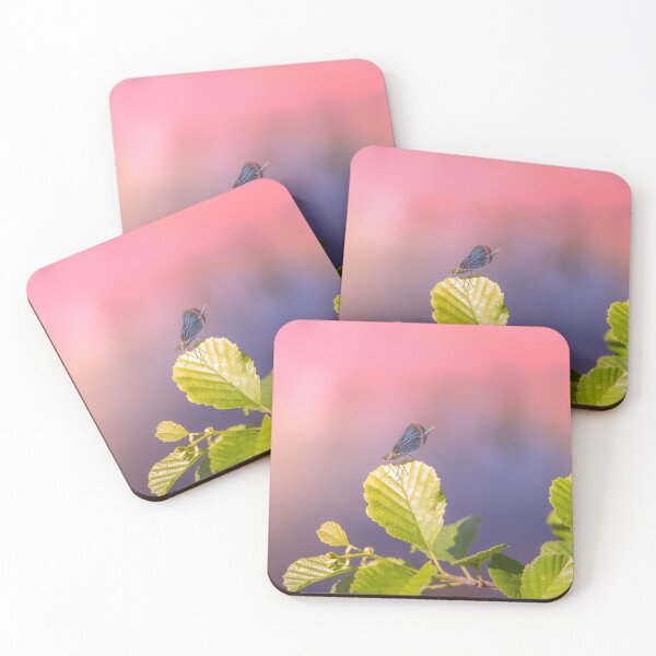 Item preview, Dragonfly and color, insect photography designed and sold by Stéphane  Thirion.
