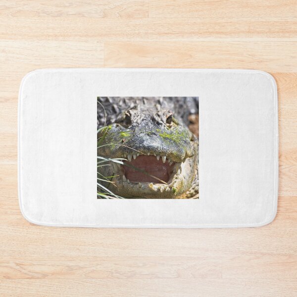 Item preview, American Alligator, Smithsonian National Zoo designed and sold by StevenRalserPhoto.