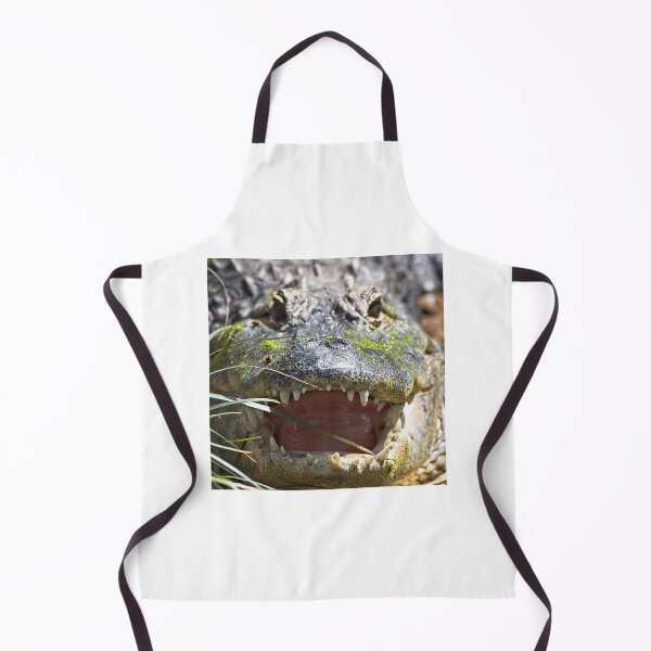Item preview, American Alligator, Smithsonian National Zoo designed and sold by StevenRalserPhoto.