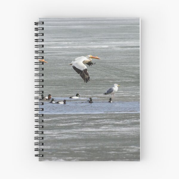 Item preview, First Arrivals 2014-1 designed and sold by Thomasyoung.