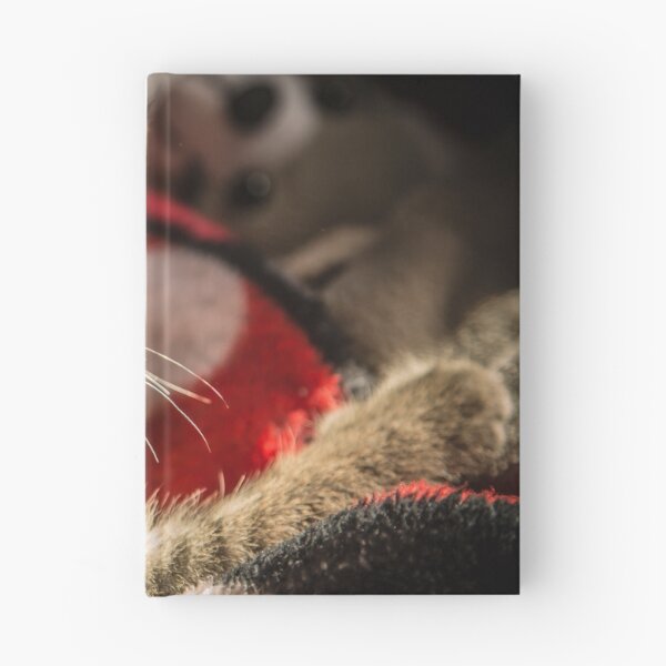 Item preview, Cat and light reflection, animal photo designed and sold by Stéphane  Thirion.