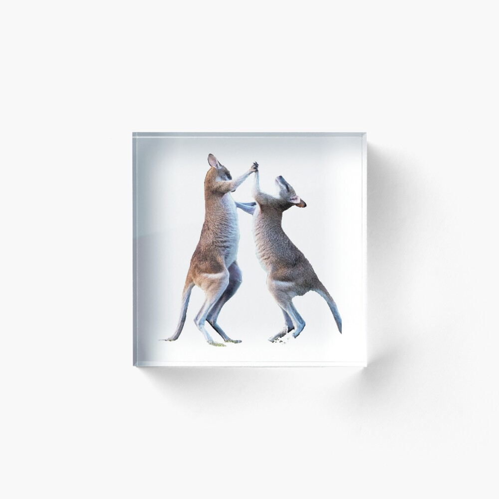 Item preview, Acrylic Block designed and sold by MESSASSI.