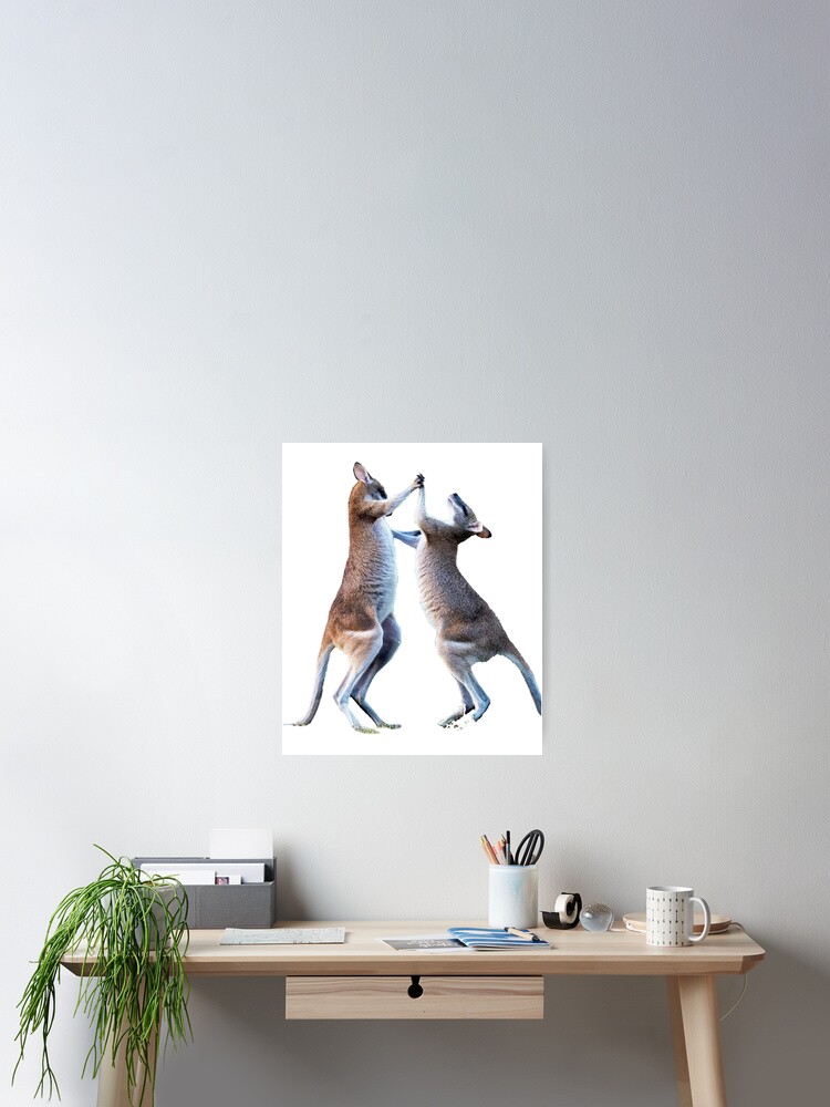 Thumbnail 2 of 3, Poster, dancing kangaroo designed and sold by MESSASSI.