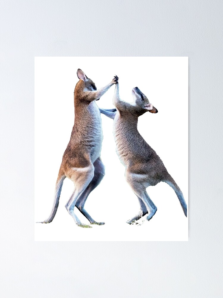 Thumbnail 1 of 3, Poster, dancing kangaroo designed and sold by MESSASSI.