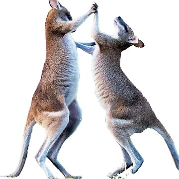Artwork thumbnail, dancing kangaroo by MESSASSI