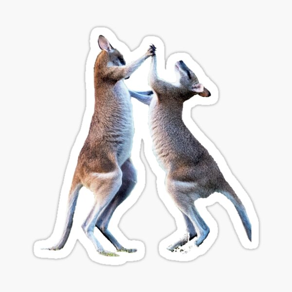 Item preview, dancing kangaroo designed and sold by MESSASSI.