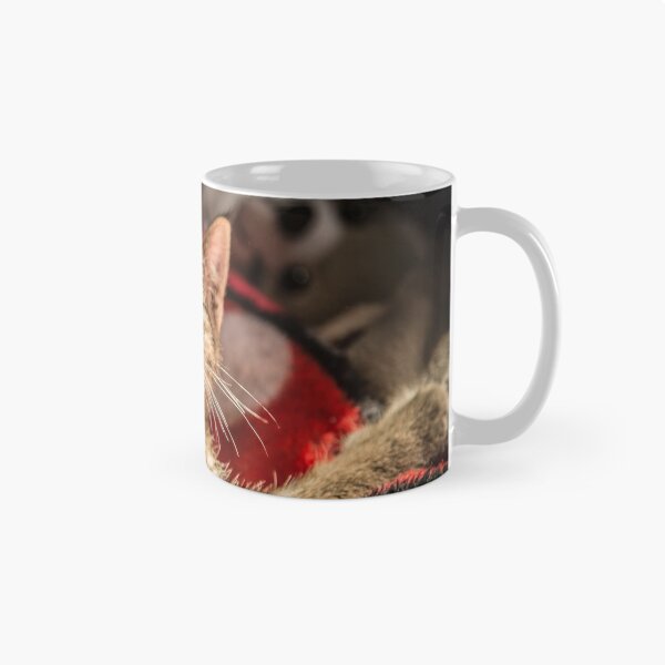 Item preview, Cat and light reflection, animal photo designed and sold by Stéphane  Thirion.