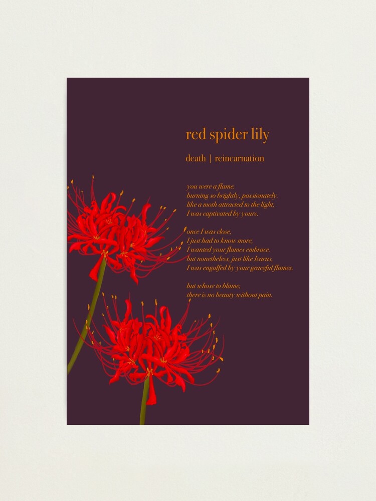 Red Spider Lily Photographic Print By Cohnxepts Redbubble