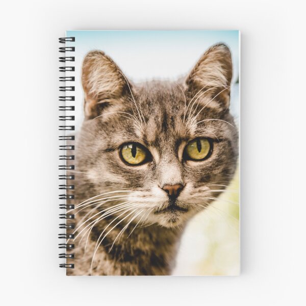 Item preview, Cat head, animal photography designed and sold by Stéphane  Thirion.