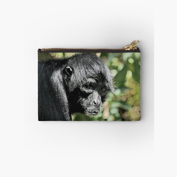 Aperçu de l'œuvre  r2405/ Atèle noir de Colombie 2020 par Okaio Créations - Olavia-Olao     créée et vendue par o.okaïo.