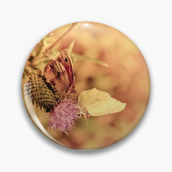 Item preview, Brown and white butterfly on photo thistle designed and sold by Stéphane  Thirion.