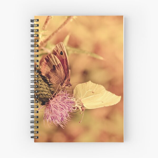 Item preview, Brown and white butterfly on photo thistle designed and sold by Stéphane  Thirion.