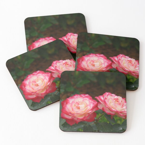 Item preview, Red & White Roses designed and sold by Monika's Shop.