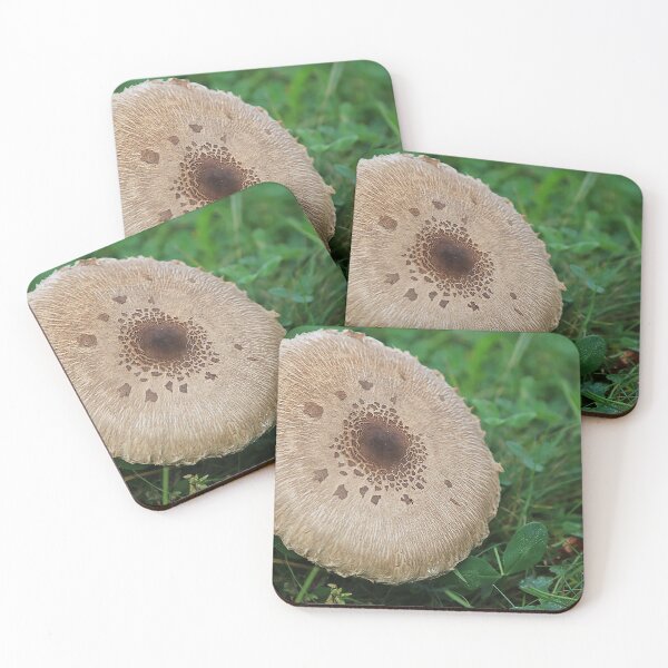 Item preview, Mushroom in the grass, nature photo designed and sold by Stéphane  Thirion.