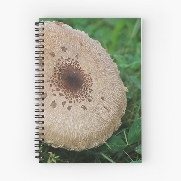 Item preview, Mushroom in the grass, nature photo designed and sold by Stéphane  Thirion.