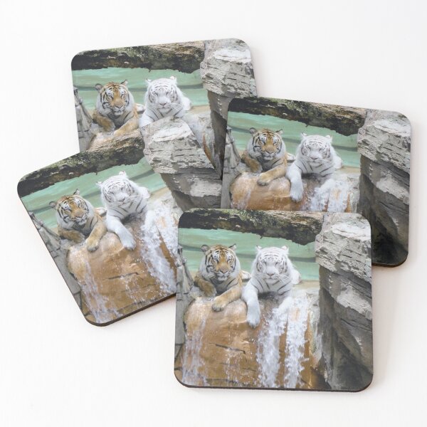Item preview, Orange & White Tigers at Busch Gardens, Tampa, Florida designed and sold by Monika's Shop.