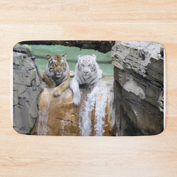 Item preview, Orange & White Tigers at Busch Gardens, Tampa, Florida designed and sold by Monika's Shop.