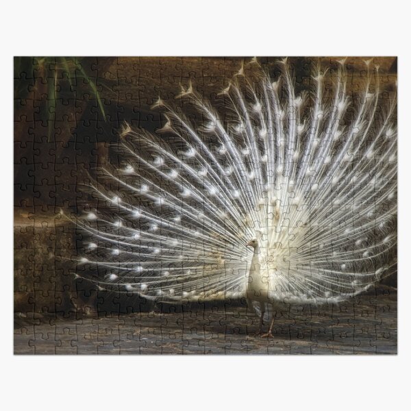 Item preview, Beautiful Peacock In Full Bloom from Fonebook designed and sold by Fonebook.