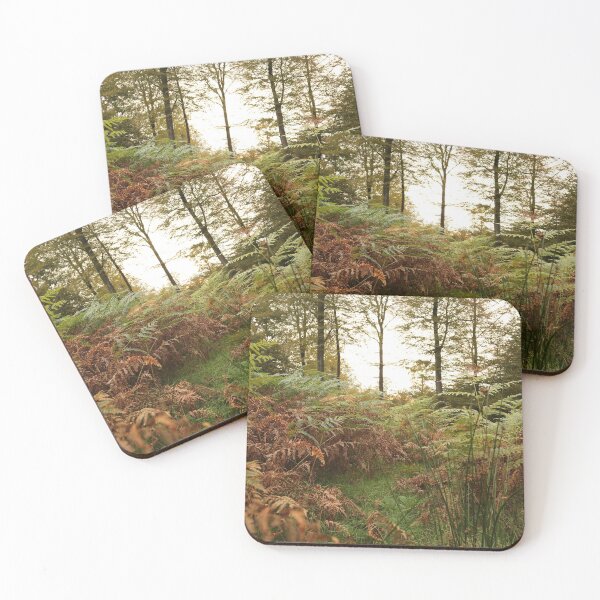 Item preview, Fern landscape in forest, nature photography designed and sold by Stéphane  Thirion.