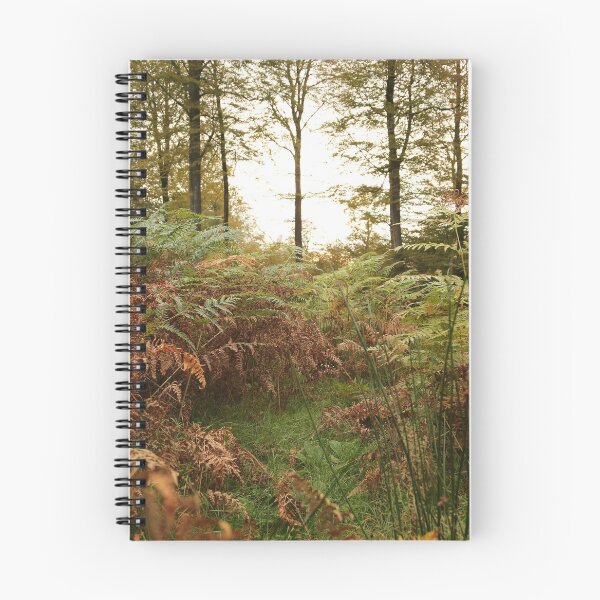 Item preview, Fern landscape in forest, nature photography designed and sold by Stéphane  Thirion.