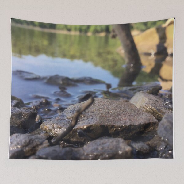 Item preview, Slippery rock. designed and sold by XRoes.